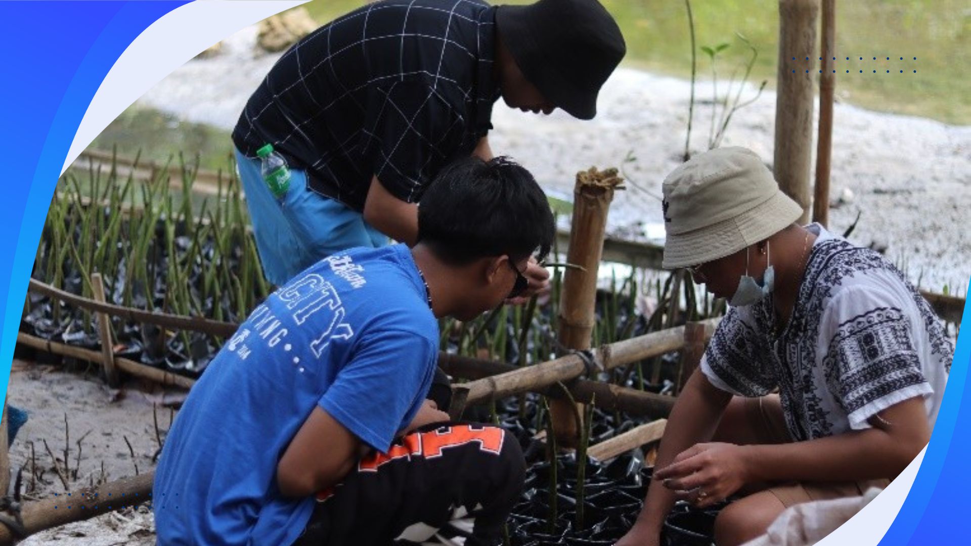 Mangrove Bagging for Coastal Restoration and Livelihood Support