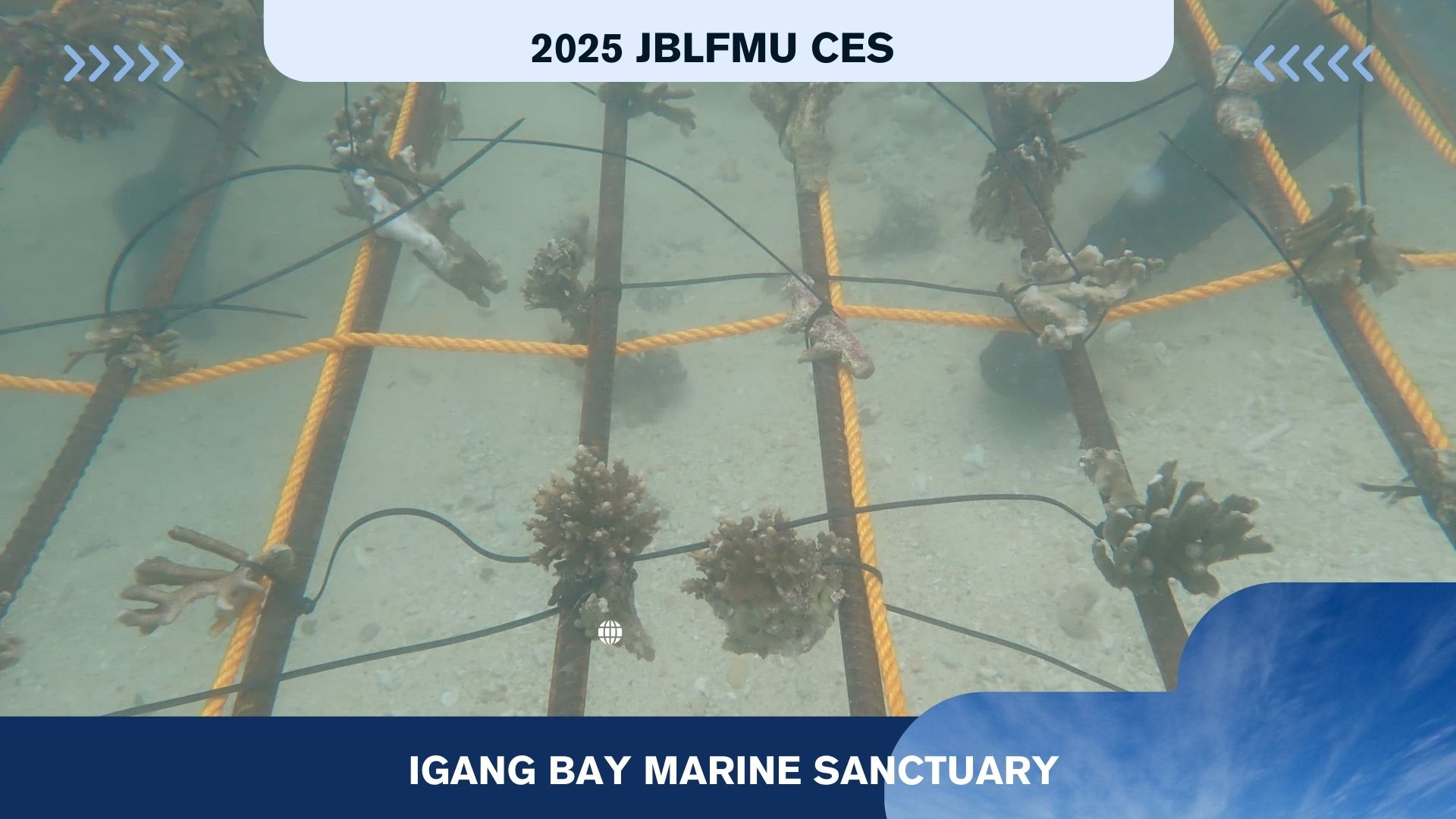Coral Gardening Expansion: Strengthening Marine Conservation at IBMS