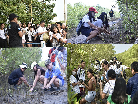 The College of Business (consisting of the BSCA, BSCSM, and BSTM programs), faculty and staff of JBLFMU-Molo, conducted the Mangrove Tree-Planting Activity